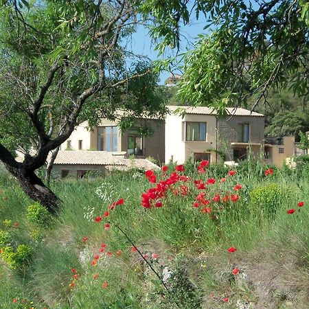 Alen D'Aragon Guest House Santa Eulalia de Gállego Екстериор снимка