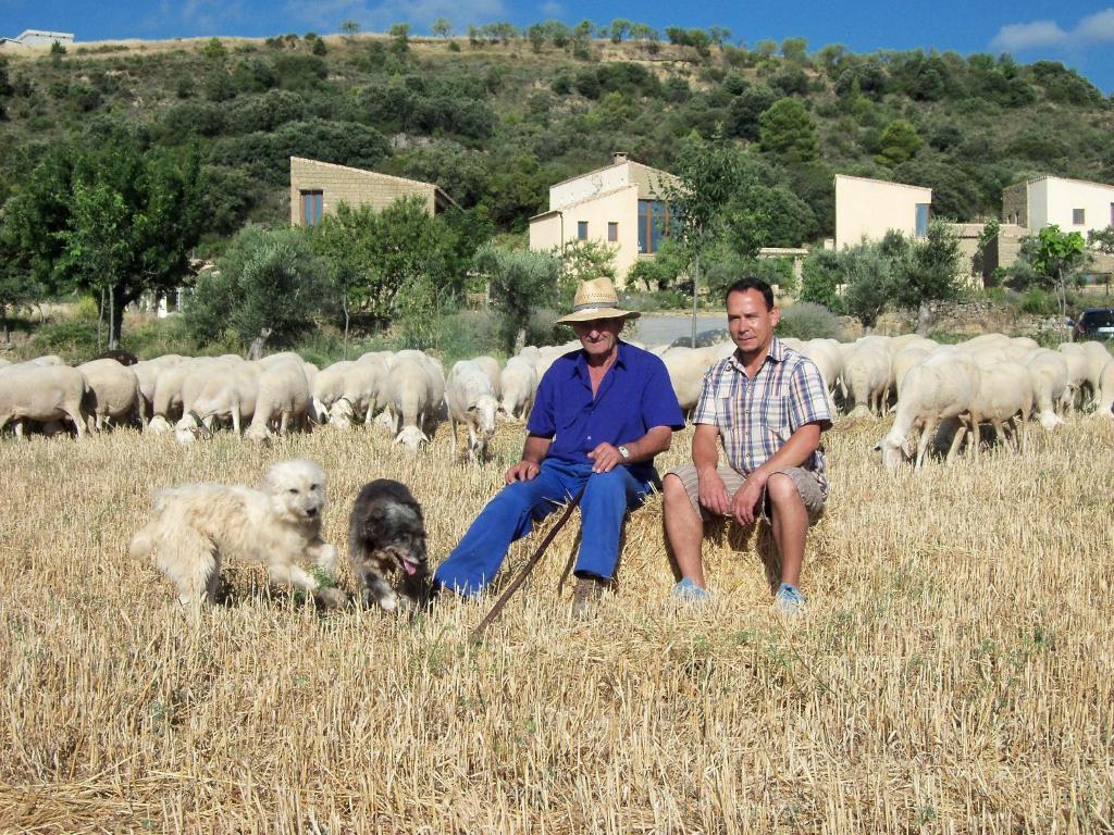 Alen D'Aragon Guest House Santa Eulalia de Gállego Екстериор снимка